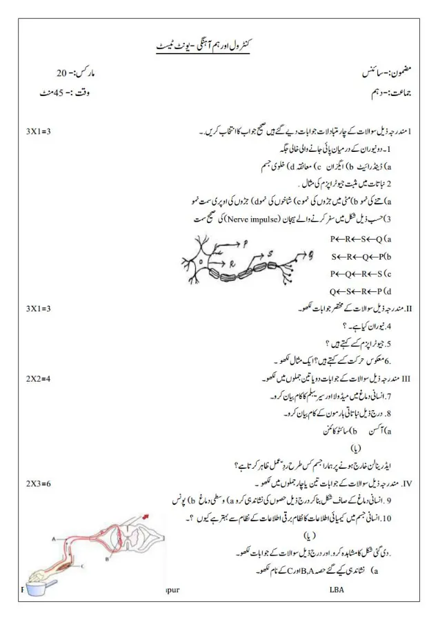 LBA Class 10 Science Test Papers With Key Answers in Urdu
