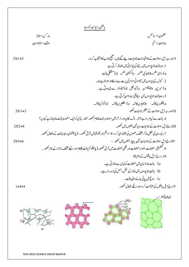 LBA Class 9 Science Test Papers With Key Answers in Urdu